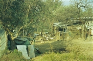Στη Μάκρη του Έβρου (Φεβρ. 2003)