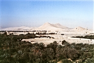Παλμύρα: Γενική άποψη της αρχαίας πόλης από το Ιερό του Μπελ (τον Απρίλιο του 1999)