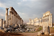 Αρχαία Απάμεια: η μεγαλοπρεπής Κιονοστοιχία (λεπτομ.) είναι ο κεντρικός άξονας της ελληνορωμαϊκής πόλεως