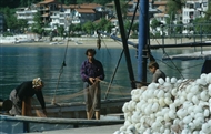 Άμαστρις: Οικογένεια ψαράδων