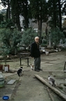 Ο νεωκόρος- φύλακας Γιώργης και οι γάτες του (το 1999)