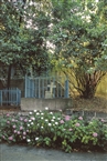 Ο σεμνός τάφος του Σωφρονίου Φωτοπούλου (1845-1914), Αρχιμανδρίτη εν Κισνοβίω, στον κήπο της Αγίας Παρασκευής στα βοσπορινά Θεραπειά (το 2000)