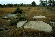 Κοντά στον αρχαίο θρακικό τάφο της Ρούσσας (στα ΒΔ του Νομού Έβρου) τον Αύγουστο του 1982: Σχιστόπλακες στο έδαφος