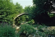 Μύτικας, ημιορεινός οικισμός στις πλαγιές της Ροδόπης (1982). Το μονότοξο γεφύρι
