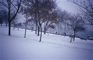 Ιανουάριος του 2006: Χιόνια στην ακτή του Κεράτιου κόλπου