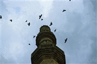 Τζαμί Μεχμέτ Α΄ Τζελεμπί στο Διδυμότειχο (το 1982): Πουλιά γύρω από τον μιναρέ