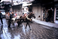 Χαλέπι (το 2009). Κάρο με ένα άλογο κοντά στην πύλη al-Hadid