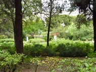 Στον Βοτανικό Κήπο Διομήδη: όψη του Ανθώνα
