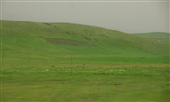 Τα χορτολίβαδα του Καρς με τα χιλιάδες πρόβατα και τα εκατοντάδες άλογα