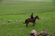 Στο Οροπέδιο της Αν. Ανατολίας (το 2009): Αλογοτρόφος επιστρέφει με το κοπάδι του στον ορεινό καταυλισμό του