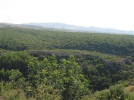 Το δυτικό άκρο του Κάστρου Σαγιούν / Κάστρο «του Σαλαντίν» (ΒΔ Συρία το 2005)