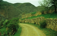 Ξερολιθιές και πεζούλες στον δρόμο από την Ίμερα προς την Κρώμνη (Μάιος 2003)