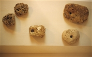 Αρχαιολ. Μουσείο Σωζόπολης: Αρχαίες λίθινες άγκυρες βγαλμένες από τη θάλασσα