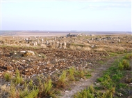 Τα ερείπια του Επισκοπικού Συγκροτήματος της Απάμειας στο Α-ΝΑ τμήμα της πόλης το 2009 (μακρινή λήψη)