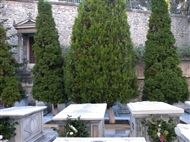 Μπαλουκλι. Παντού λουλούδια στο Κοιμητήριο Πατριαρχών και Μ. Ευεργετών του Γένους στην Ιερά Μονή Ζωοδόχου Πηγής (Αύγ. του 2017)