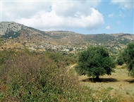 Άγιοι Θεόδωροι / Ζεϊτινλίκιοϊ: Ο οικισμός από μακριά (το 2001)