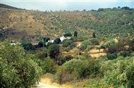 Άγιοι Θεόδωροι / Ζεϊτινλίκιοϊ: Η Παναγία από μακριά (το 2001)