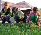 Γεσεμέκ, προϊστορικός χώρος - αρχαιολογικό πάρκο: Κοριτσάκια μαζεύουν λουλούδια για να τα προσφέρουν στους επισκέπτες