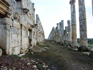 Απάμεια, η Μεγάλη Κιονοστοιχία (λεπτομ.): Ππό την Πύλη της Αντιόχειας προς το κέντρο της πόλης (το 2009)