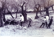 Φωτογραφία του 1972 από το έργο περισυλλογής και μεταφοράς των αρχιτεκτονικών μελών στον αρχαιολογικό χώρο της Κλοπεδής