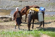 Χωρική με δυο άλογα στην άγρια ερημιά (στα μέρη της Κορυτσάς, τον Απρίλιο του 2010)