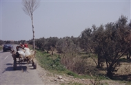 Στην Αν. Θράκη: Ακολουθώντας την παλαιά Εγνατία (άνοιξη του 1996)