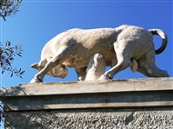 Στον αρχαίο Κεραμεικό: Ο ταύρος στο ταφικό μνημείο του Διονυσίου από τον Δήμο του Κολλυτού