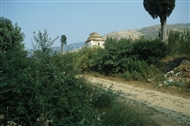 Στα θεσσαλικά Τέμπη (Αύγ. του 1982): Ο ερειπωμένος τουρμπές (μαυσωλείο) στον Τεκέ του Χασάν Μπαμπά (μακρινή λήψη)