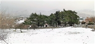 Χιονισμένο τοπίο γύρω από το ξωκλήσι του Άι Γιάννη στα περίχωρα του Βαφειού (τον χειμώνα του 2021)