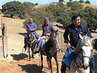 Βαφειός (το 2019): Καβαλάρηδες καταφθάνουν στον Άι Γιάννη τη μέρα του πανηγυριού με τρία όμορφα άλογα