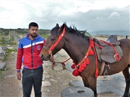Γάδαρα (το 2017): Το άλογο με τα κόκκινα χαϊμαλιά είναι έτοιμο για μια περιήγηση στον αρχαιολογικό χώρο