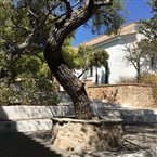 Εκκλησιαστικό Ορφανοτροφείο Βουλιαγμένης: Στον κήπο δίπλα στην Κοίμηση