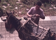 Πήλιο (το 2000): Ξεφορτωμένη η φοράδα στην αυλή