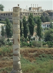 Έφεσος (Ιούνιος του 1991): Ο μοναδικός κίονας από το ελληνιστικό Αρτεμίσιον και ο μουσαφίρης του στην κορυφή