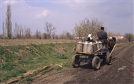 Κάρο φορτωμένο με κάδους γάλακτος – πατέρας και πιτσιρίκος στην λασπουριασμένη ύπαιθρο των Σαράντα Εκκλησιών (το 1996)