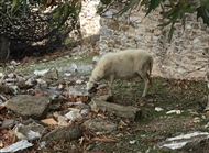 Μονή του Χριστού Φωτοδότη (Οκτ. 2018)