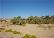 Χερσόνησος Σινά, στη διαδρομή για τη Μονή της Αγίας Αικατερίνης (Ιούνιος 2013)