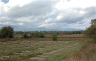 Στον Άγιο Γερμανό (Οκτ. 2008)