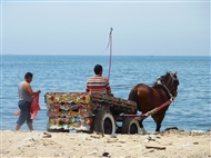 Αλεξάνδρεια, στον Ταρσανά του ελ-Ανφούσι. Η άμαξα με τις καταπληκτικές ζωγραφιές και το κόκκινο άλογο