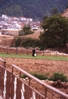 Ορεινά χωριά Ξάνθης (Μάιος 1996): Στους κάμπους έξω από τον Εχίνο
