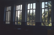 Σμύρνη. Από τα παράθυρα του πρώτου ορόφου της Ευαγγελικής Σχολής: Ο κήπος