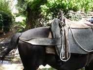 Δυτικό Πήλιο το 2007: Ο Καράς, το μαύρο άλογο του Κώστα, έχει ξεφορτώσει τις κλούβες με τα σταφύλια και περιμένει το αφεντικό του