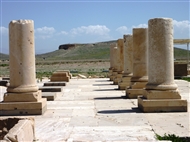 Πασαργάδες: Κίονες στο παλάτι του Κύρου