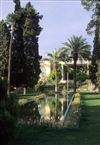 Σιράζ, άνοιξη του 2001: Ο μαγευτικός κήπος με τα πανύψηλα κυπαρίσσια στην είσοδο του Μαυσωλείου του ποιητή Χαφέζ