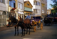 Τα αμαξάκια περιμένουν στην αφετηρία