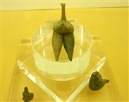 Πήλινα γυναικεία ειδώλια της 7ης π.Χ. χιλιετίας από το Tepe Sarāb